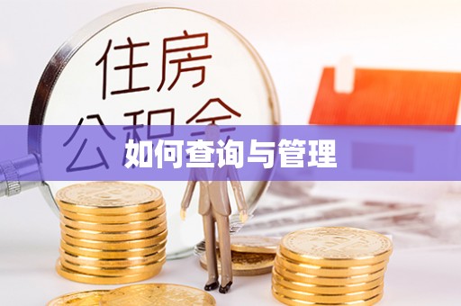 路桥如何查询与管理