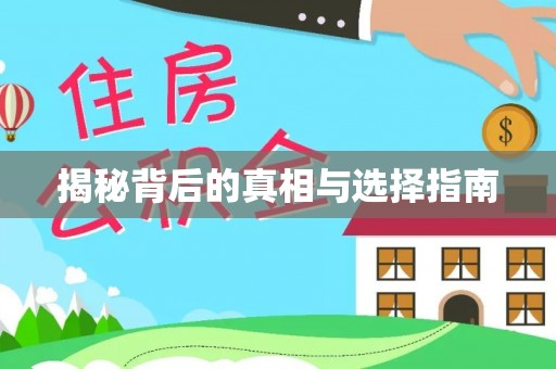路桥揭秘背后的真相与选择指南