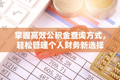 路桥掌握高效公积金查询方式，轻松管理个人财务新选择
