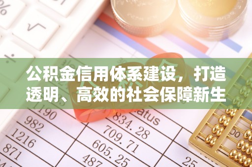 路桥公积金信用体系建设，打造透明、高效的社会保障新生态