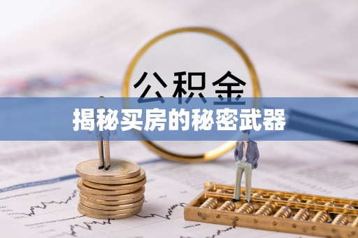 路桥揭秘买房的秘密武器