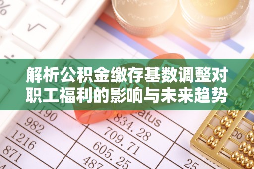路桥解析公积金缴存基数调整对职工福利的影响与未来趋势