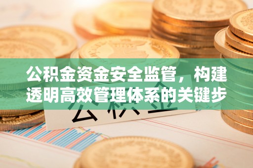 路桥公积金资金安全监管，构建透明高效管理体系的关键步骤