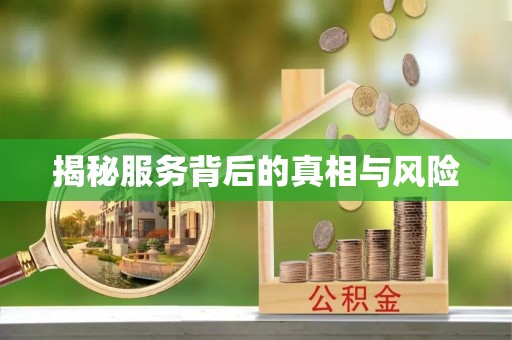 路桥揭秘服务背后的真相与风险