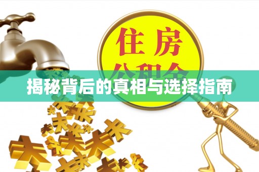 路桥揭秘背后的真相与选择指南