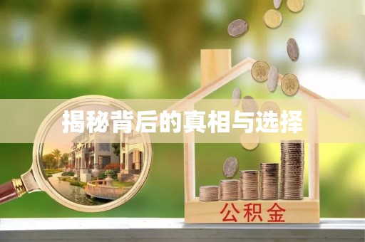 路桥揭秘背后的真相与选择