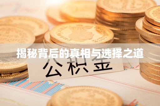 路桥揭秘背后的真相与选择之道