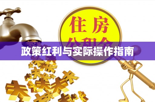 路桥政策红利与实际操作指南
