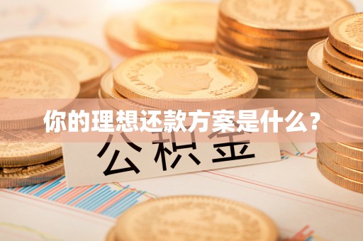 路桥你的理想还款方案是什么？